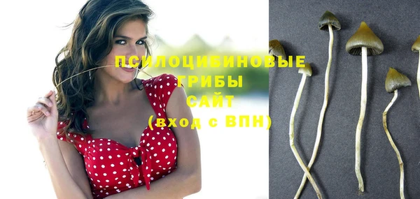 молекула духа Куйбышев